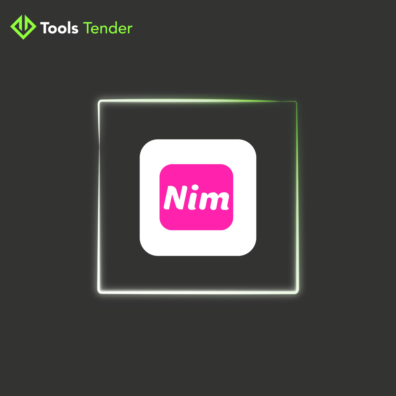 nimvideo