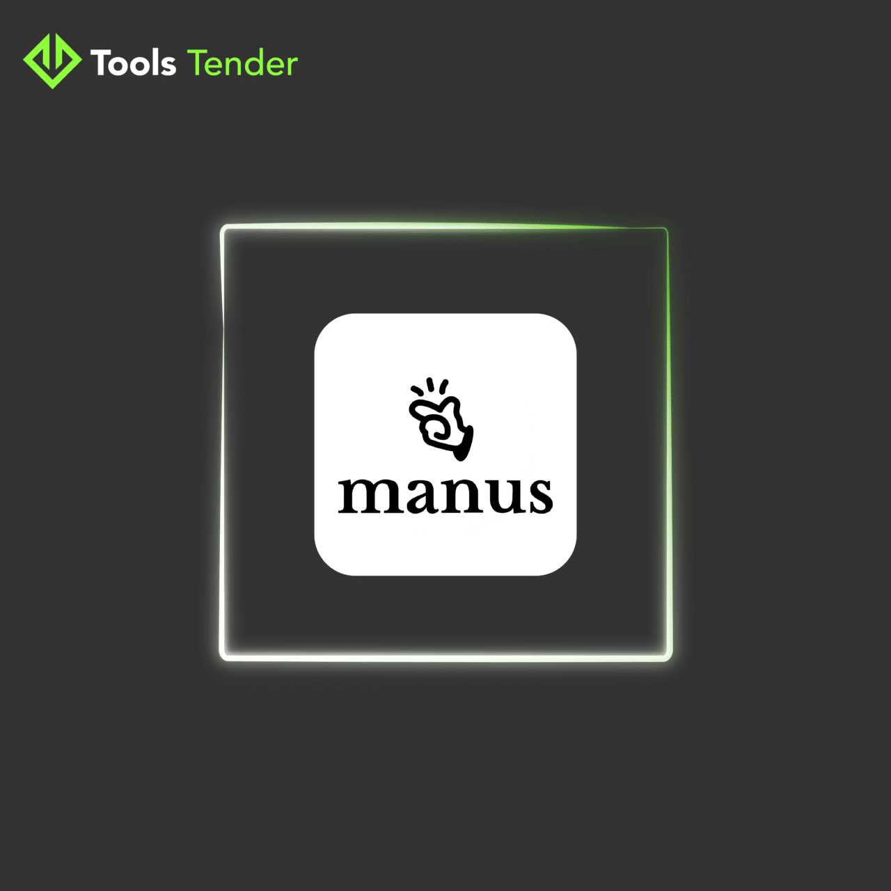 Manus Pro